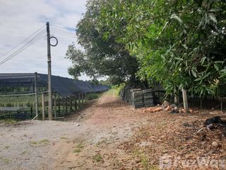 出售 土地 在 Damnoen Saduak, Ratchaburi