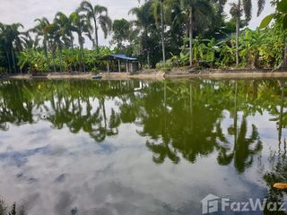 出售 土地 在 Damnoen Saduak, Ratchaburi