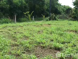 For sale land in Mueang Phuket, Phuket