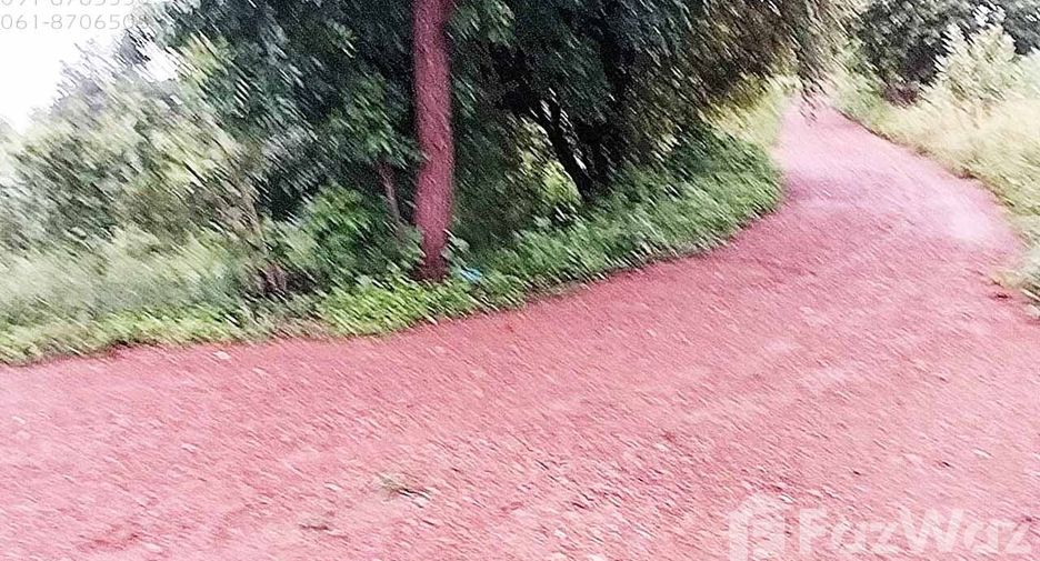 For sale land in Hankha, Chainat
