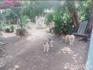 For sale land in Sai Mai, Bangkok