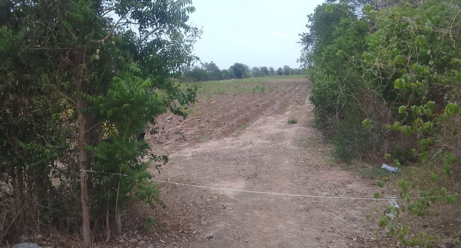 For sale land in Hankha, Chainat
