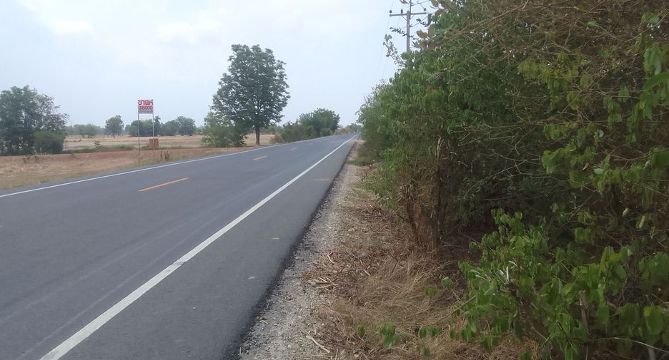 For sale land in Hankha, Chainat