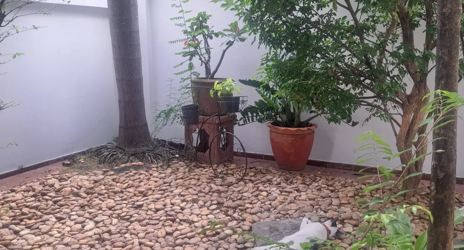 For sale 2 ベッドルーム house in Prawet, Bangkok