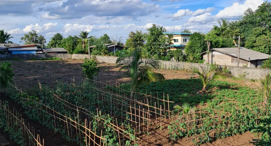 For rent 3 bedrooms villa in Mueang Chiang Rai, Chiang Rai