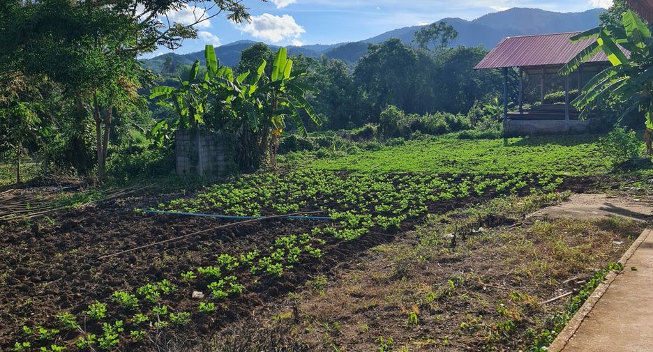 For rent 3 bedrooms villa in Mueang Chiang Rai, Chiang Rai