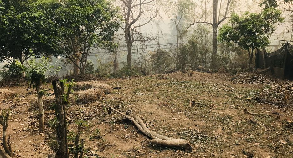 For sale land in Mueang Mae Hong Son, Mae Hong Son