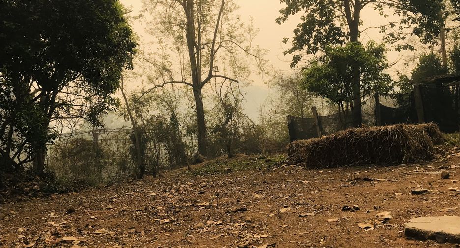 For sale land in Mueang Mae Hong Son, Mae Hong Son
