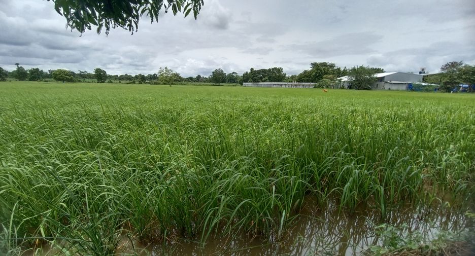 For sale land in Kantharawichai, Maha Sarakham