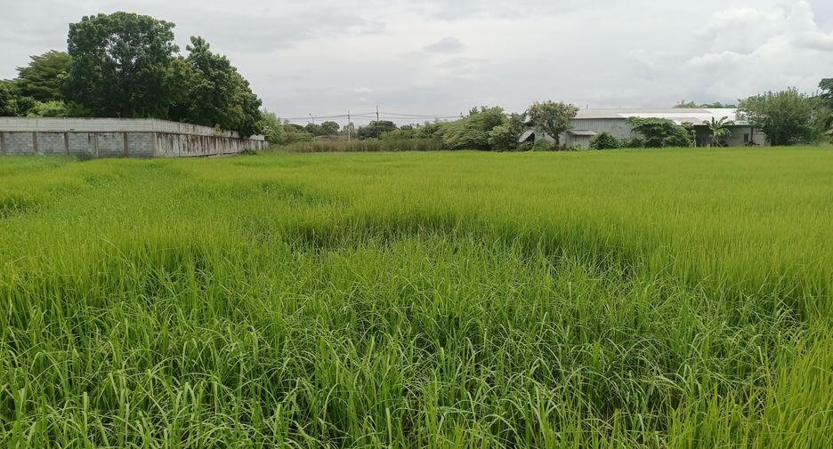 For sale land in Kantharawichai, Maha Sarakham
