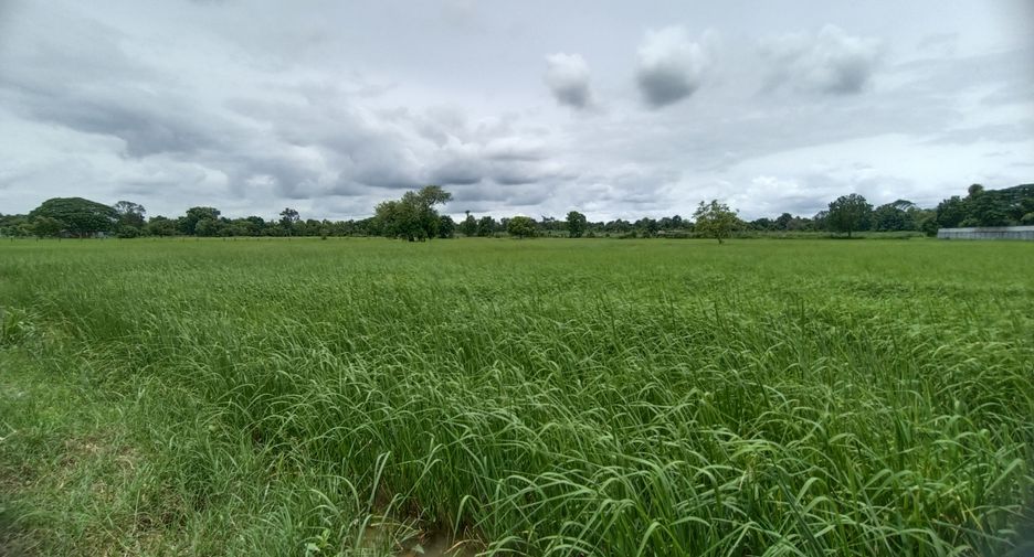 For sale land in Kantharawichai, Maha Sarakham