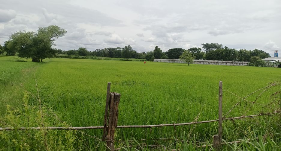 For sale land in Kantharawichai, Maha Sarakham