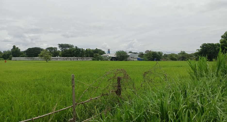 For sale land in Kantharawichai, Maha Sarakham