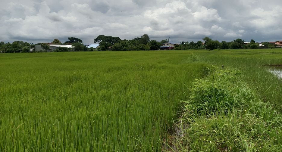 For sale land in Kantharawichai, Maha Sarakham