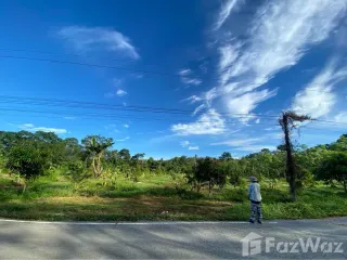 出售 土地 在 Pa Phayom, Phatthalung