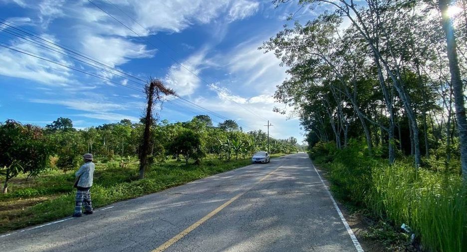 For sale land in Pa Phayom, Phatthalung