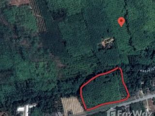 出售 土地 在 Pa Phayom, Phatthalung