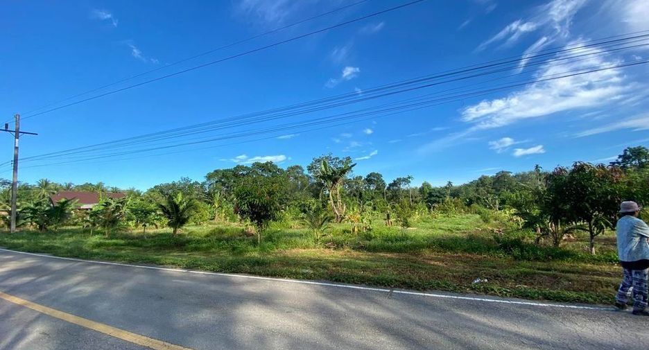 For sale land in Pa Phayom, Phatthalung