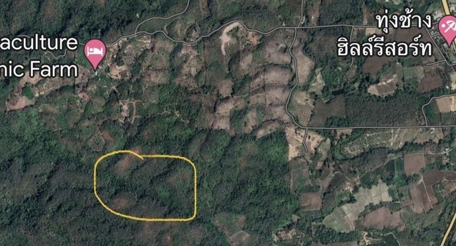 For sale land in Thung Chang, Nan