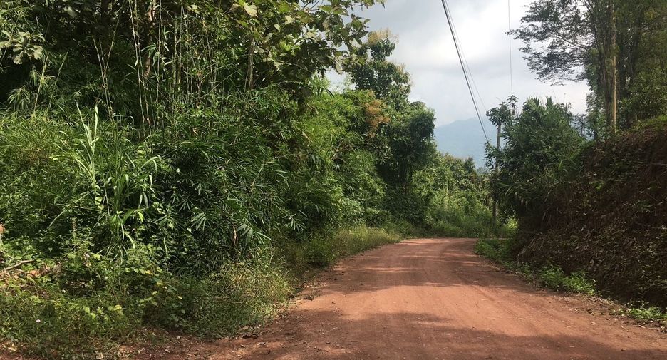 For sale land in Thung Chang, Nan