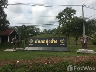 For sale land in Thung Chang, Nan