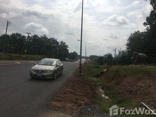 For sale land in Thung Chang, Nan