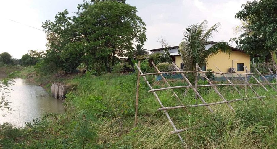 For sale land in Phu Khiao, Chaiyaphum