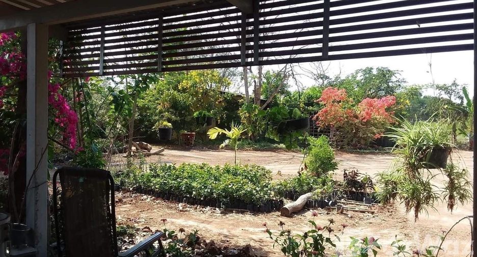 For sale land in Phu Khiao, Chaiyaphum