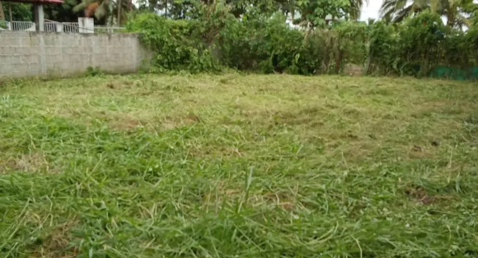 For sale land in Phrao, Chiang Mai