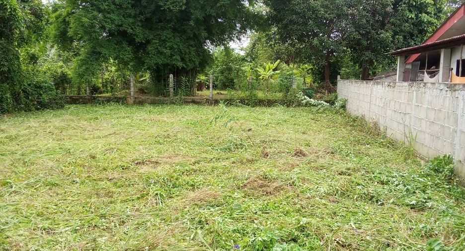 For sale land in Phrao, Chiang Mai