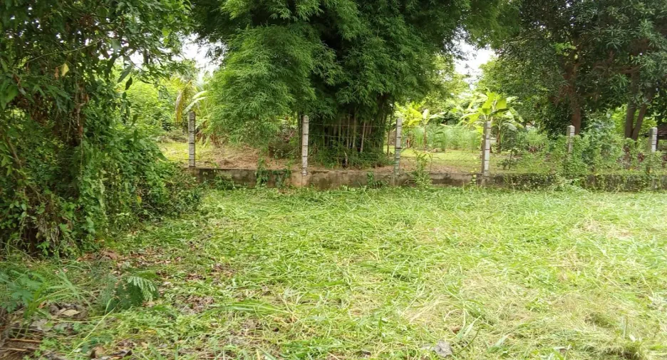 For sale land in Phrao, Chiang Mai