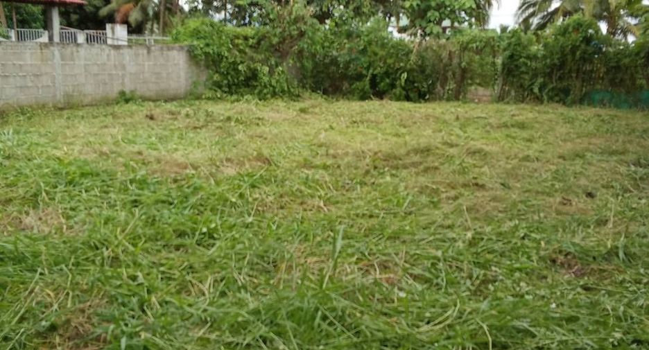 For sale land in Phrao, Chiang Mai