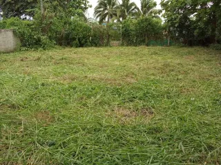 Продажа Участок в Phrao, Чианг Маи