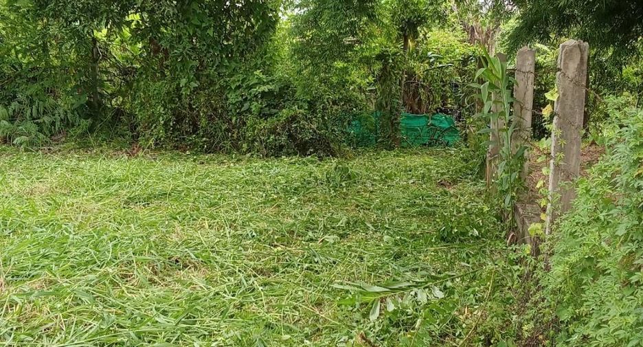 For sale land in Phrao, Chiang Mai