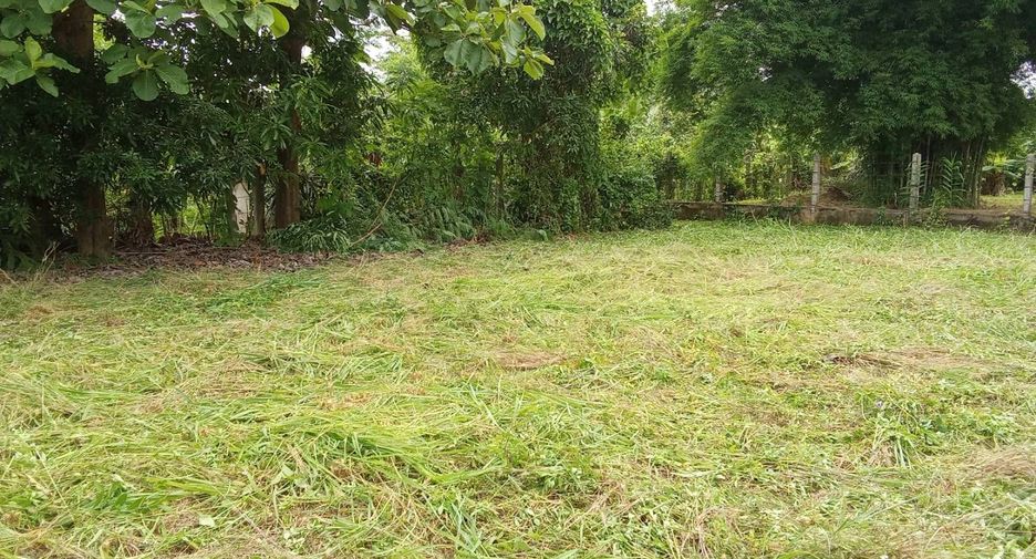 For sale land in Phrao, Chiang Mai