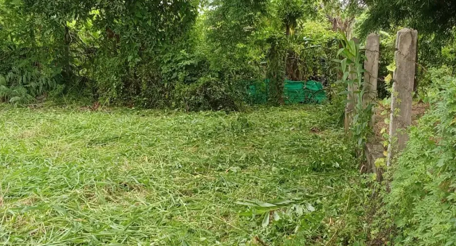 For sale land in Phrao, Chiang Mai