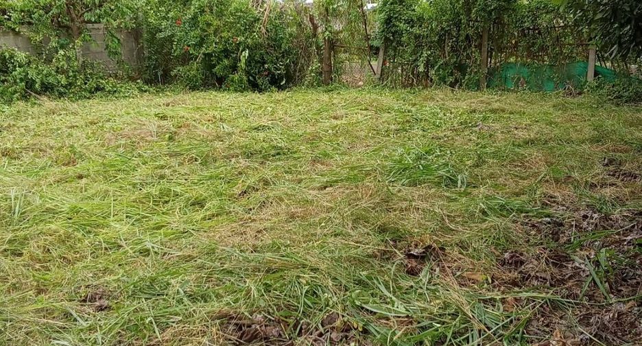 For sale land in Phrao, Chiang Mai