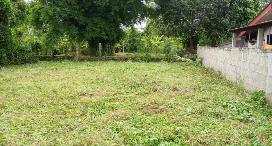 For sale land in Phrao, Chiang Mai