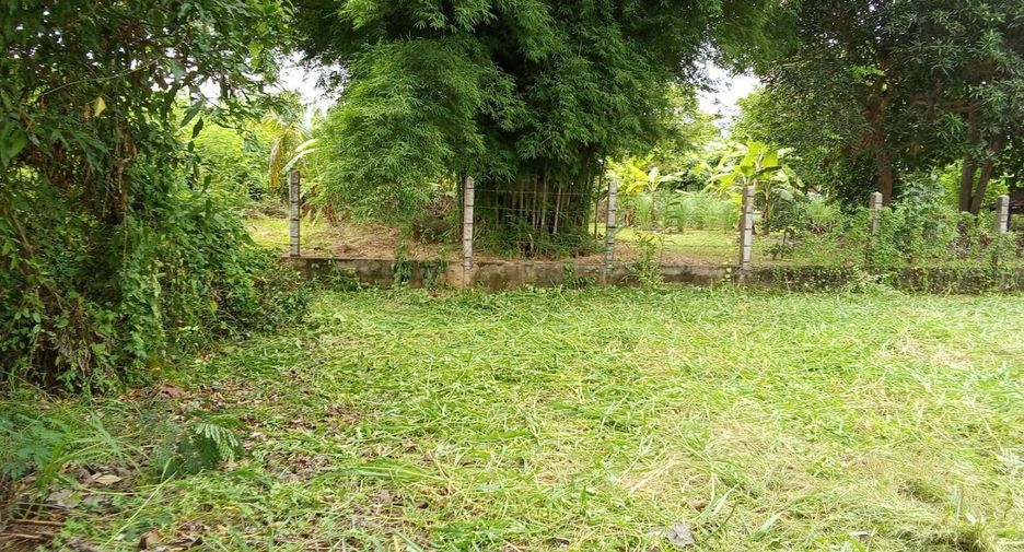 For sale land in Phrao, Chiang Mai