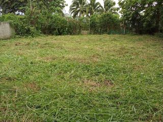 For sale land in Phrao, Chiang Mai
