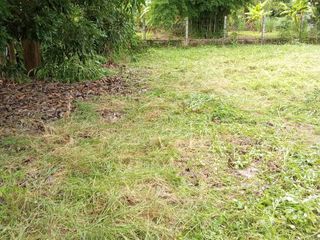 For sale land in Phrao, Chiang Mai
