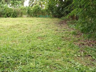 For sale land in Phrao, Chiang Mai