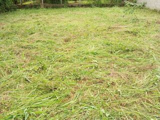 For sale land in Phrao, Chiang Mai