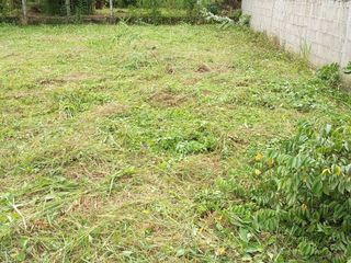 For sale land in Phrao, Chiang Mai