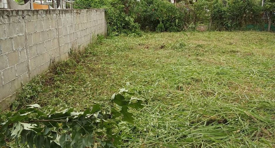 For sale land in Phrao, Chiang Mai