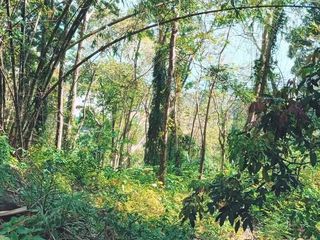 For sale land in Kathu, Phuket