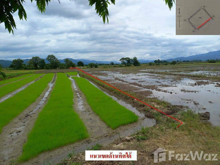 For sale land in Mae Ai, Chiang Mai