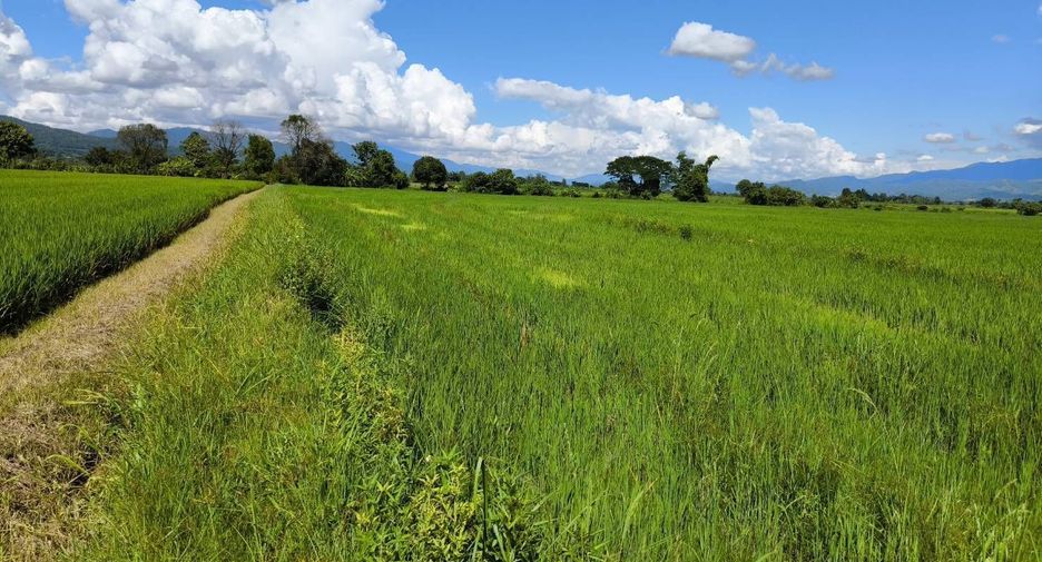 For sale land in Mae Ai, Chiang Mai