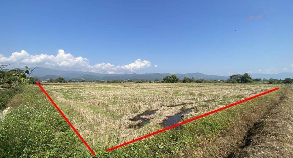For sale land in Mae Ai, Chiang Mai