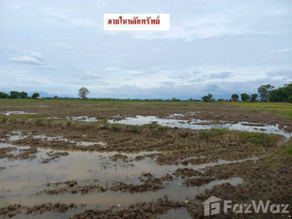 For sale land in Mae Ai, Chiang Mai